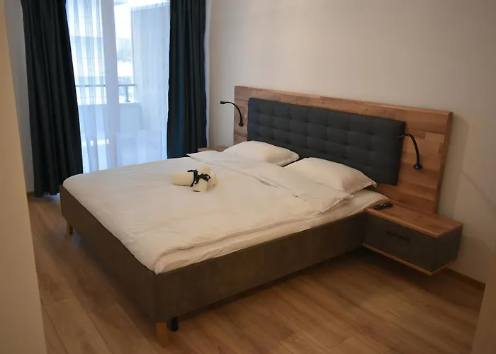 Save Relaxing Residence Brasov